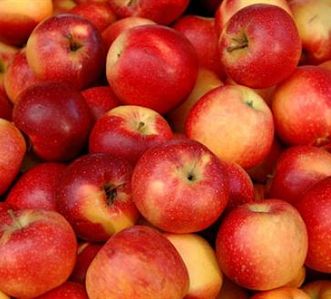 cider making course